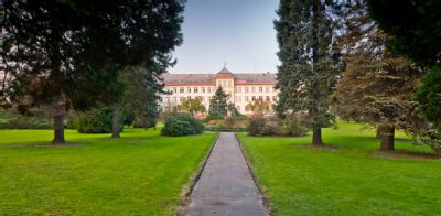 Posílit řady dobrovolníků a zpříjemnit letní čas pacientů mohou noví zájemci v Nemocnici Český Těšín 