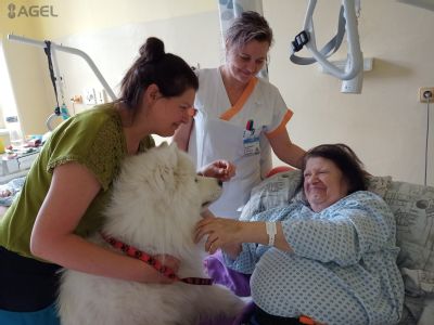 Canisterapie v Nemocnici AGEL Český Těšín stále pomáhá pacientům. Border kolii Caesara nahradil pes Jonáš